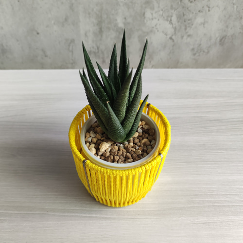 北欧ヴィンテージ 真鍮の小物入れ プランターケース 北欧ヴィンテージ