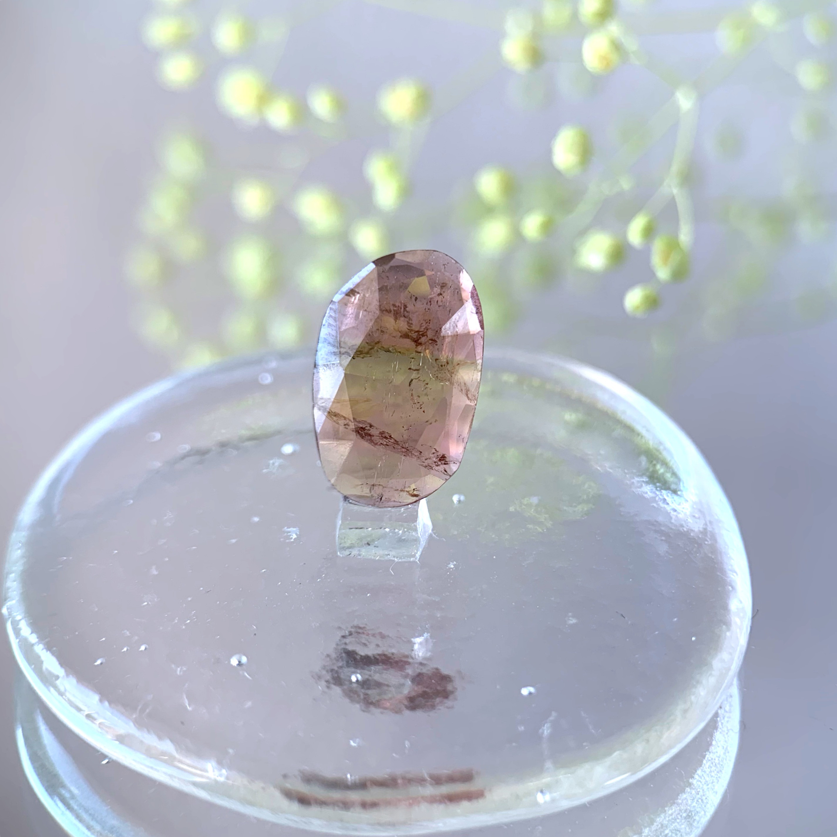 【受注制作】小粒　バイカラートルマリン　silver ring（j）