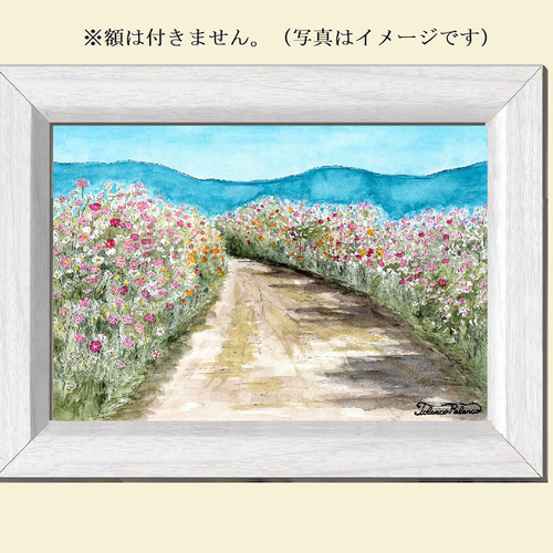 原画一点物 「コスモスの道」 ＜ペンスケッチ＋透明水彩＞ 絵画