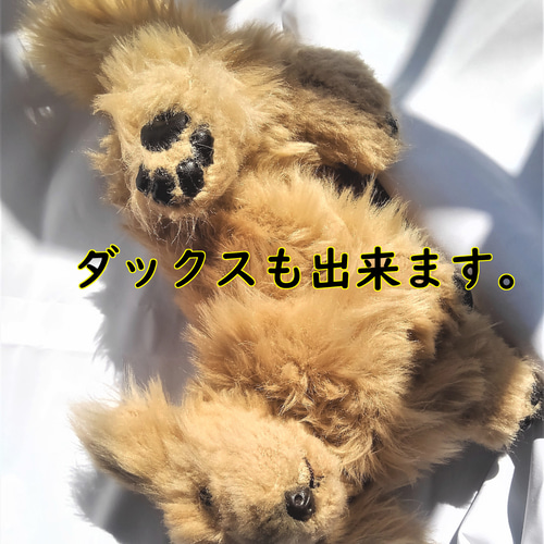 セミオーダー・犬のぬいぐるみ ぬいぐるみ 風間翔 通販 16700716