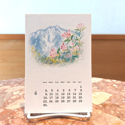 2024年カレンダー【山野草イラスト＆活版印刷文字】はがきサイズ【ホワイト】 6枚目の画像