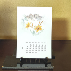 2024年カレンダー【山野草イラスト＆活版印刷文字】はがきサイズ【ホワイト】 14枚目の画像