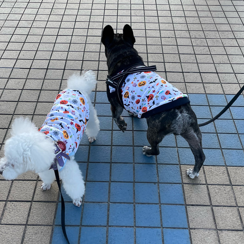 TowaWan⭐︎　ハンドメイド　犬服　ハロウィンタンクトップ① TowaWan⭐︎様 専用 ハンドメイド 犬服 ハロウィンタンクトップ①