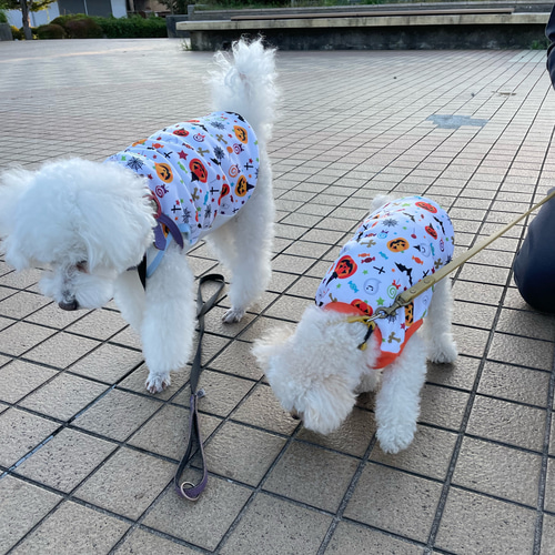 わんこ母さん　ハンドメイド　犬服　ハロウィンシンプルタンク　①3着 わんこ母さん様 専用 ハンドメイド 犬服 ハロウィンシンプル