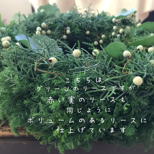 Green Christmas wreathe〜2025グリーンクリスマスリース wreathe クリスマスリース #wreathe #christmaswreaths #flowershop