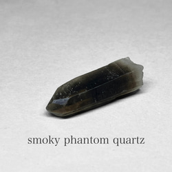 smoky phantom quartz / スモーキーファントムクォーツ M 1枚目の画像