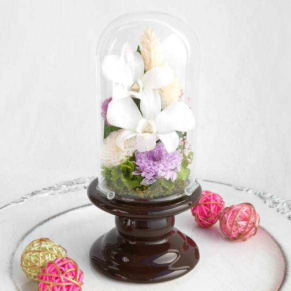「仏花」デンファレのプリザーブドフラワーのガラスドーム パープル系＜受注制作＞お供え花 1枚目の画像