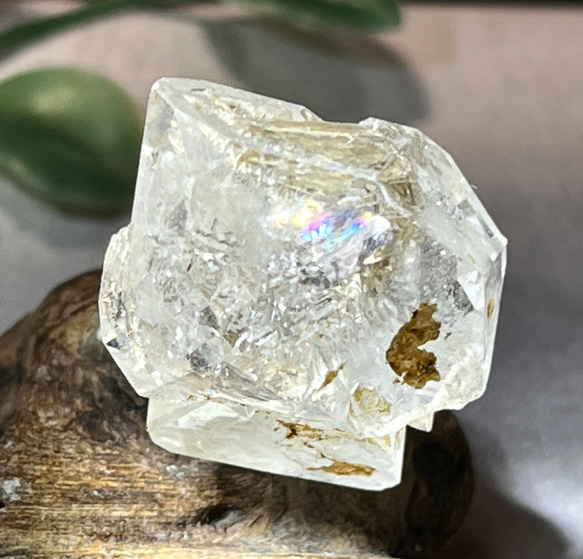 ゴールデンマイカ内包✨ レインボー エレスチャル  骸骨水晶　原石　クリスタル