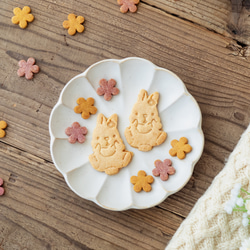 お米のクッキー/rice cookies(森の仲間たち)【グルテンフリー＆ヴィーガン】 1枚目の画像