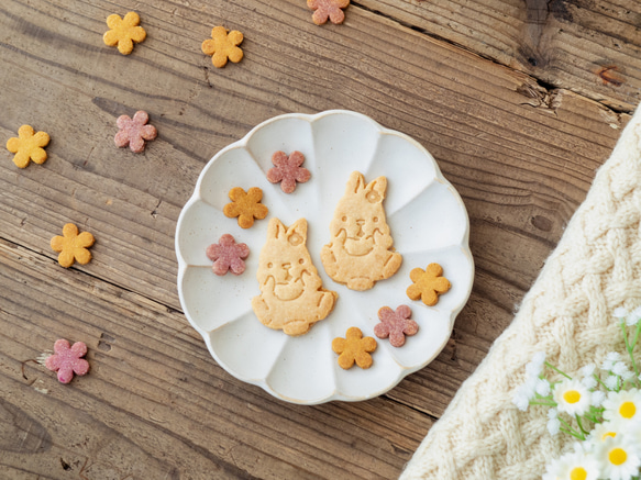 お米のクッキー/rice cookies(森の仲間たち)【グルテンフリー＆ヴィーガン】 1枚目の画像