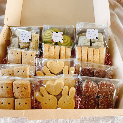 食品サンプル 見本 クッキー 20枚 楽天市場】食べられない 素焼きクッキー ｜ クッキー アイシング