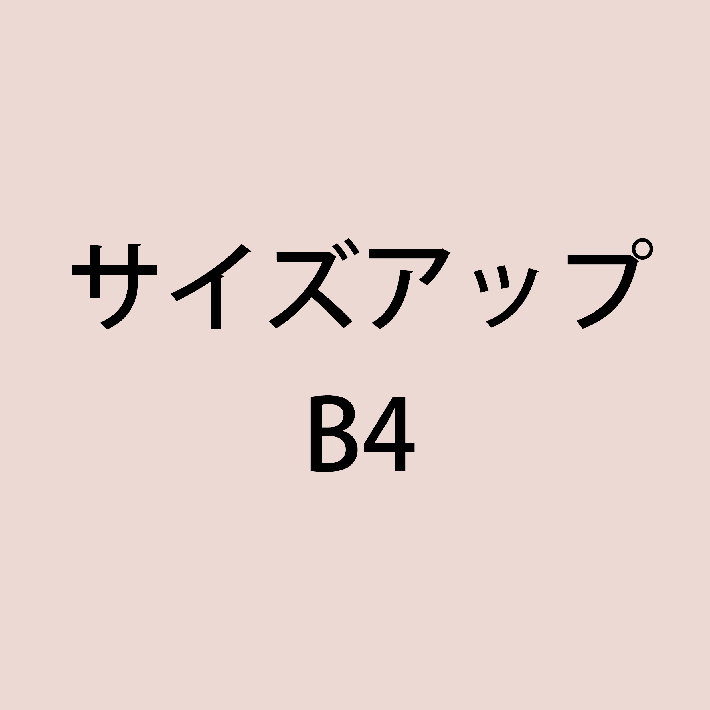 追加オプション ｜ A4 ▶︎  B4 サイズアップ