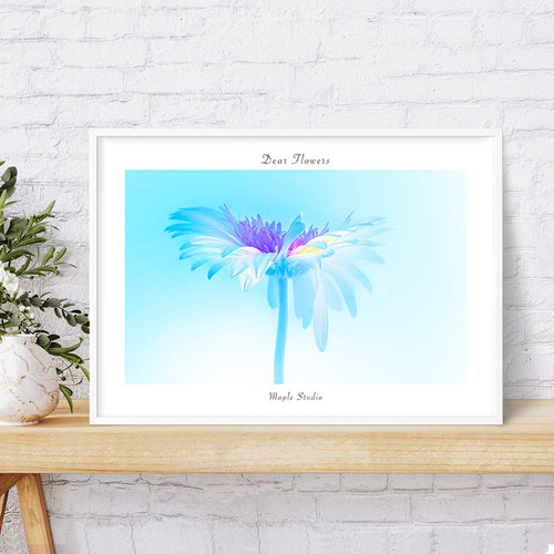 フラワーアート インテリアポスター ガーベラ 青い 透明感 メッセージ