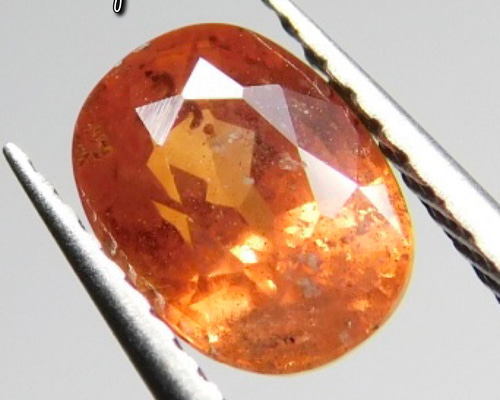 c8156d3953abd3762e25e113fe6ea6