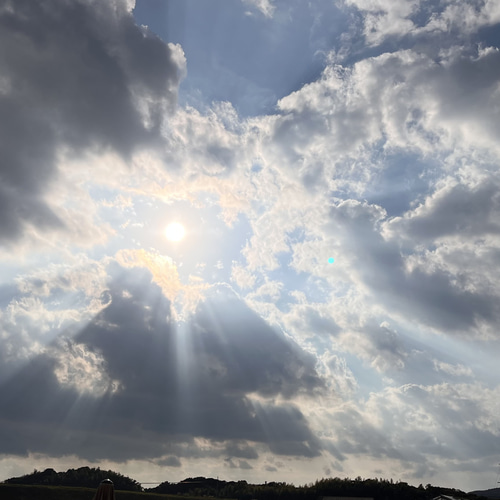 龍紋天珠♡黒龍♡5A水晶♡ハーフブラック水晶♡メンズサイズブレス  