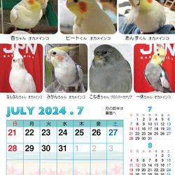 2024年 鳥づくし卓上カレンダー インコ  小鳥 カレンダー 2024卓上 16枚目の画像