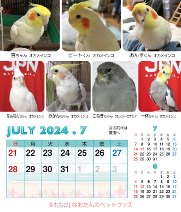 2024年 鳥づくし卓上カレンダー インコ  小鳥 カレンダー 2024卓上 16枚目の画像