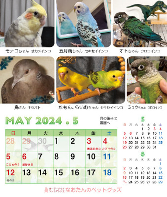 2024年 鳥づくし卓上カレンダー インコ  小鳥 カレンダー 2024卓上 11枚目の画像