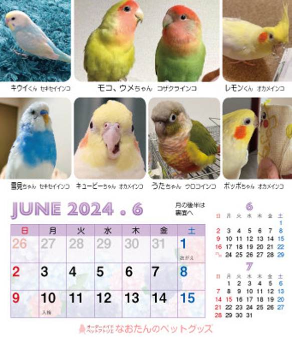 2024年 鳥づくし卓上カレンダー インコ  小鳥 カレンダー 2024卓上 13枚目の画像