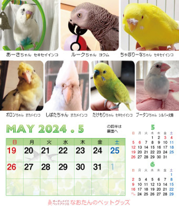 2024年 鳥づくし卓上カレンダー インコ  小鳥 カレンダー 2024卓上 12枚目の画像