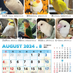 2024年 鳥づくし卓上カレンダー インコ  小鳥 カレンダー 2024卓上 17枚目の画像