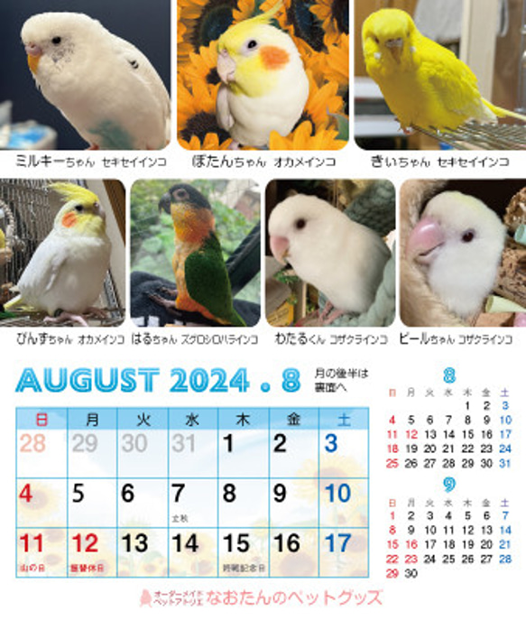 2024 年鳥桌曆 鸚鵡小鳥日曆 2024 年桌曆 第17張的照片