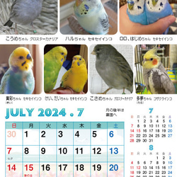 2024年 鳥づくし卓上カレンダー インコ  小鳥 カレンダー 2024卓上 15枚目の画像