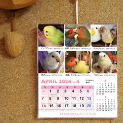 2024年 鳥づくし卓上カレンダー インコ  小鳥 カレンダー 2024卓上 1枚目の画像