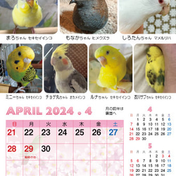 2024年 鳥づくし卓上カレンダー インコ  小鳥 カレンダー 2024卓上 10枚目の画像