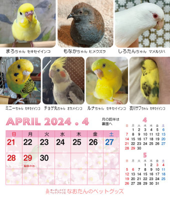 2024年 鳥づくし卓上カレンダー インコ  小鳥 カレンダー 2024卓上 10枚目の画像
