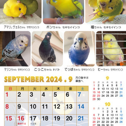 2024年 鳥づくし卓上カレンダー インコ  小鳥 カレンダー 2024卓上 19枚目の画像