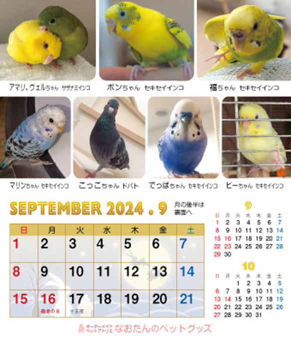 2024年 鳥づくし卓上カレンダー インコ  小鳥 カレンダー 2024卓上 19枚目の画像