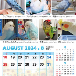 2024年 鳥づくし卓上カレンダー インコ  小鳥 カレンダー 2024卓上 18枚目の画像