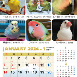 2024年 鳥づくし卓上カレンダー インコ  小鳥 カレンダー 2024卓上 3枚目の画像