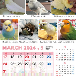 2024年 鳥づくし卓上カレンダー インコ  小鳥 カレンダー 2024卓上 8枚目の画像