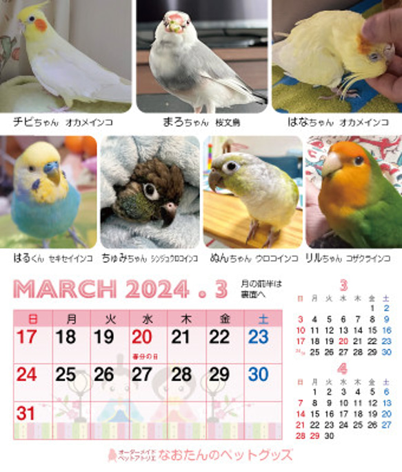 2024年 鳥づくし卓上カレンダー インコ  小鳥 カレンダー 2024卓上 8枚目の画像