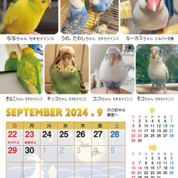 2024年 鳥づくし卓上カレンダー インコ  小鳥 カレンダー 2024卓上 20枚目の画像