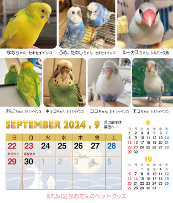 2024年 鳥づくし卓上カレンダー インコ  小鳥 カレンダー 2024卓上 20枚目の画像