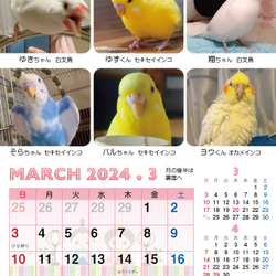 2024年 鳥づくし卓上カレンダー インコ  小鳥 カレンダー 2024卓上 7枚目の画像