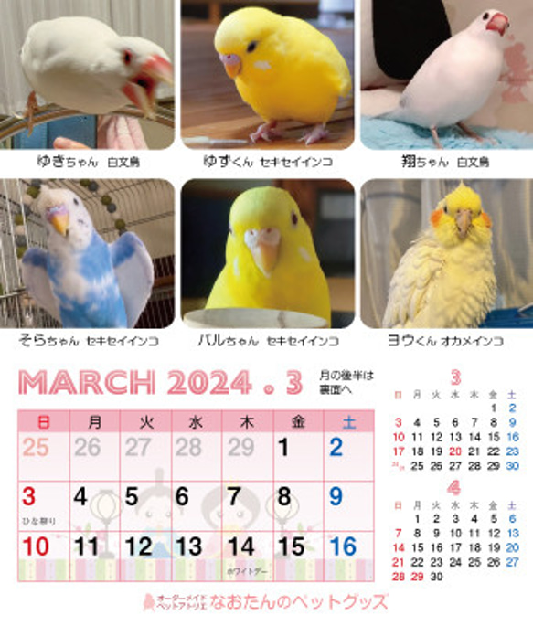 2024年 鳥づくし卓上カレンダー インコ  小鳥 カレンダー 2024卓上 7枚目の画像