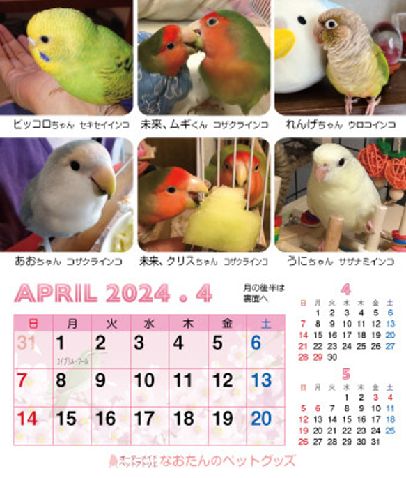2024年 鳥づくし卓上カレンダー インコ  小鳥 カレンダー 2024卓上 9枚目の画像