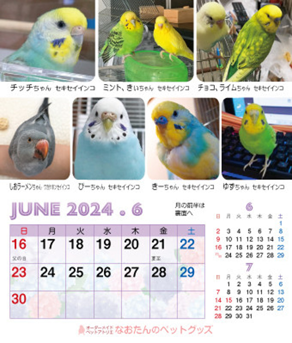 2024年 鳥づくし卓上カレンダー インコ  小鳥 カレンダー 2024卓上 14枚目の画像