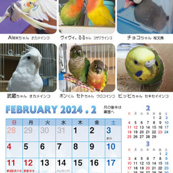 2024年 鳥づくし卓上カレンダー インコ  小鳥 カレンダー 2024卓上 5枚目の画像