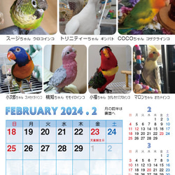2024年 鳥づくし卓上カレンダー インコ  小鳥 カレンダー 2024卓上 6枚目の画像