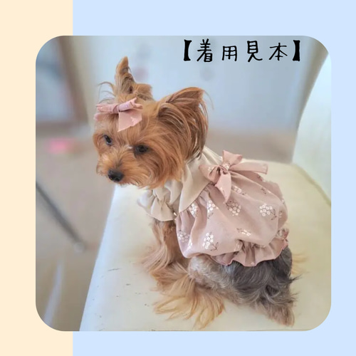 犬服デザインバルーンワンピース　見本 犬服デザインバルーンワンピース見本