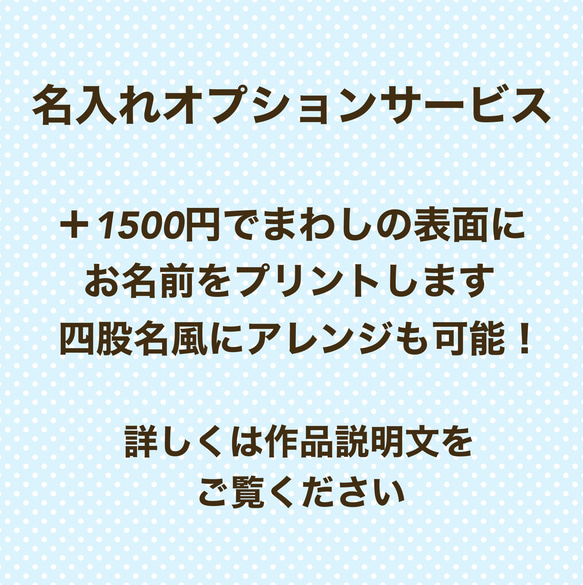 【名入れOK】赤ちゃん化粧まわし「えびすこくん」《飛翔する鷹と富士山・赤》男の子のお宮参り・お食い初め記念撮影衣装        Ω 人気・おすすめ｜多用途・生活用品におすすめ キャンペーン中 即納 即日発送サービス