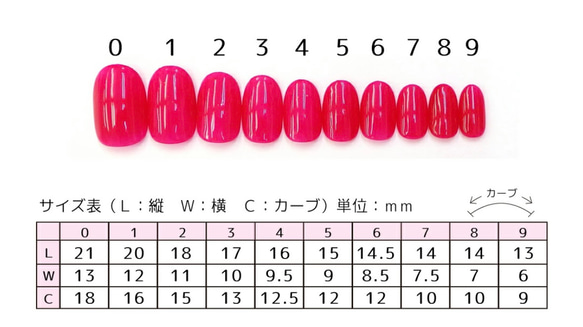 ⭐︎サイズ計測用ネイルチップ⭐︎ 2枚目の画像