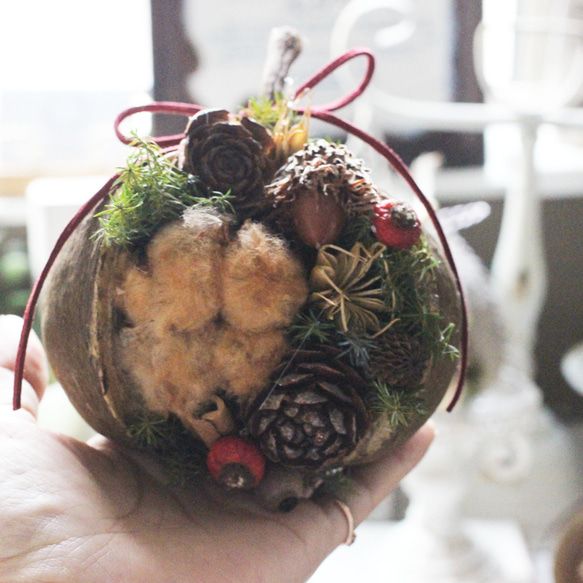 木の実のブッダナッツ ドライフラワー petit chocolat 通販 16704657