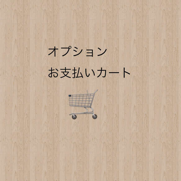 専用カート：オプションお支払い用 1枚目の画像