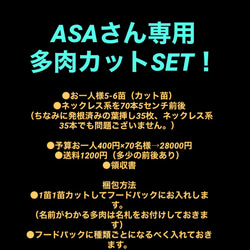 大株⚠️お得な吊りpotのまま⚠️ジグザグサボテン  フィッシュボーンカクタス